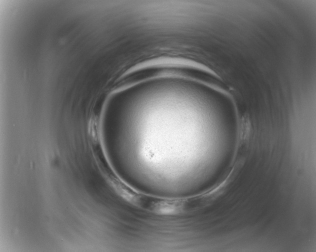 X0000082200094200701270129