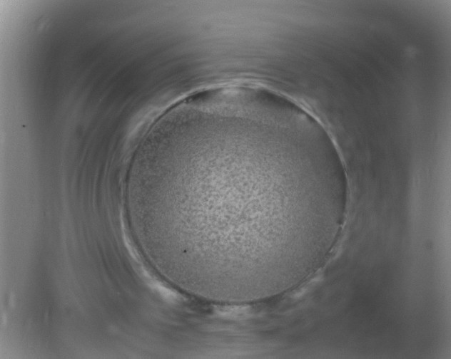 X0000082200097200701270128