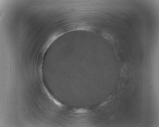 X0000082200098200701270128