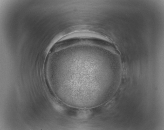 X0000082200099200701270128