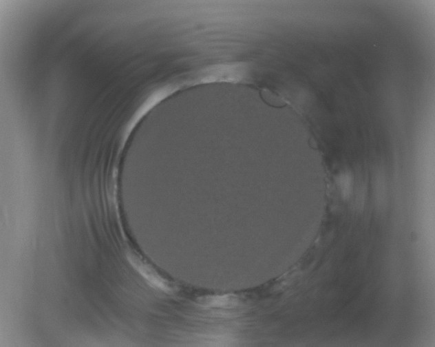 X0000082200100200701270128