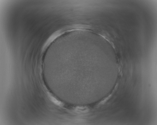 X0000082200101200701270128