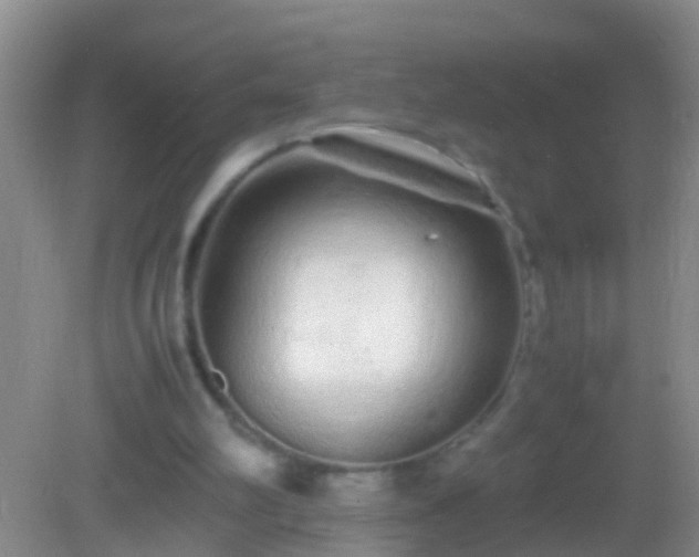 X0000082200102200701270128