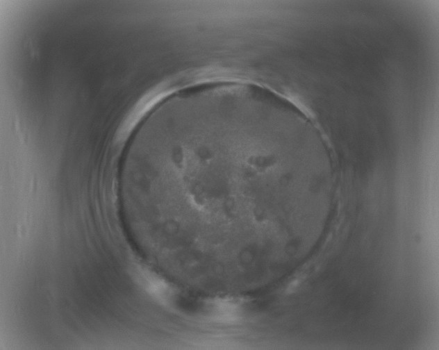 X0000082200103200701270128