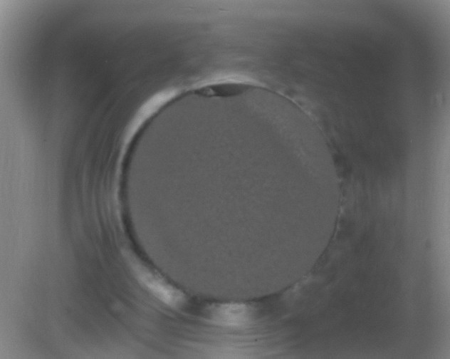 X0000082200104200701270128