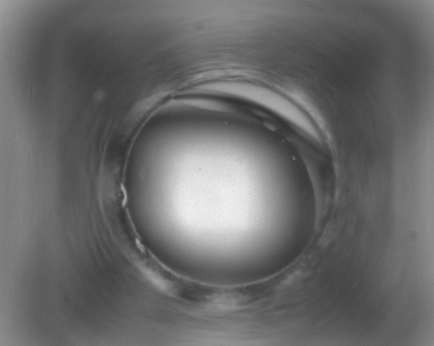 X0000082200105200701270128