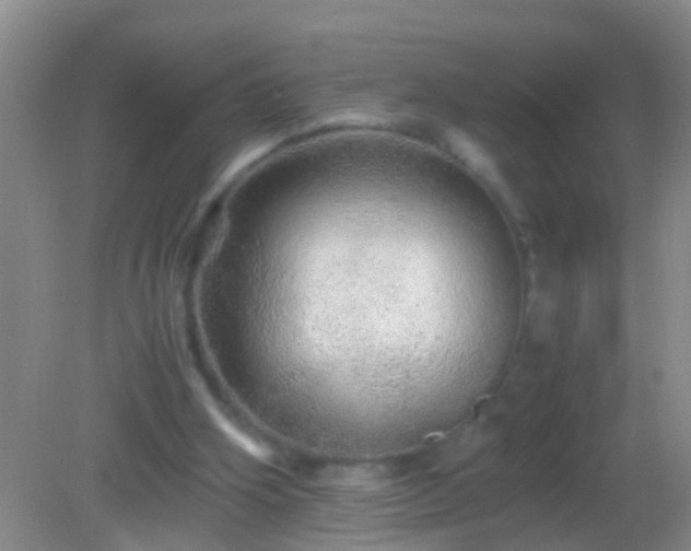 X0000082200106200701270128