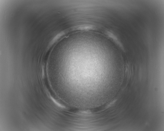 X0000082200110200701270128