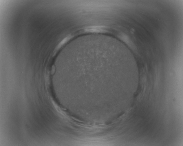 X0000082200111200701270128