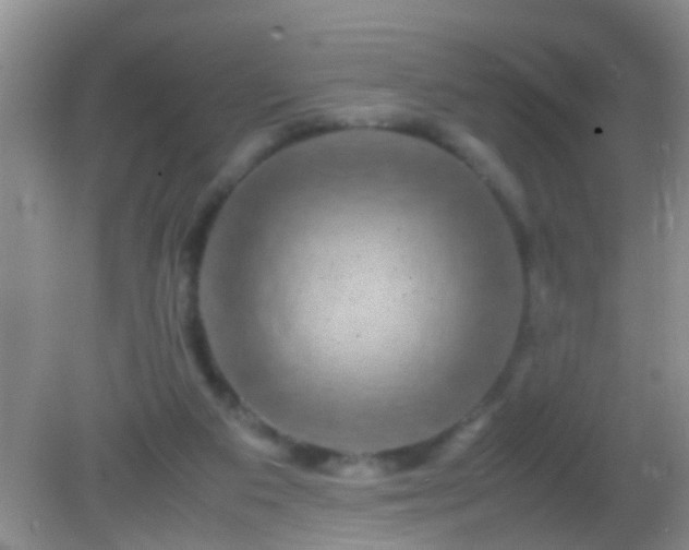 X0000082200113200701270128