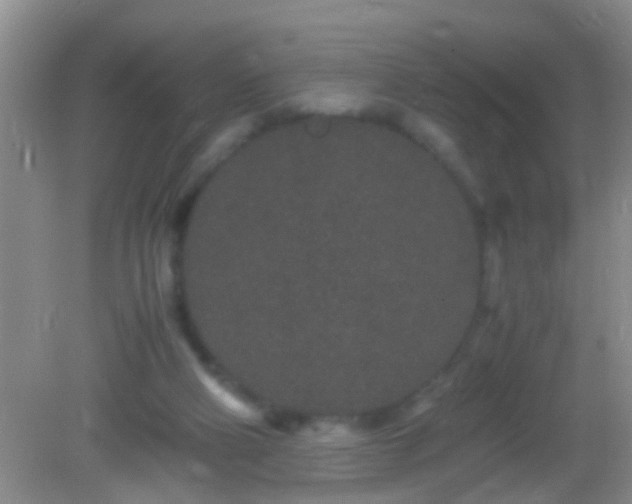 X0000082200114200701270128