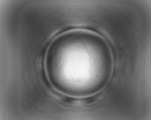 X0000082200115200701270128