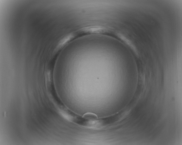 X0000082200117200701270128