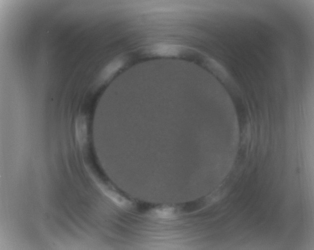 X0000082200120200701270128