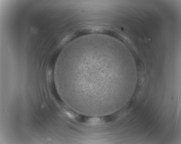 X0000082200123200701270128