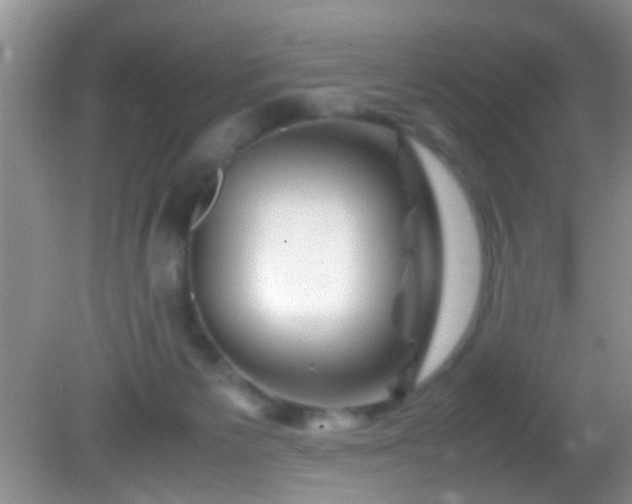 X0000082200125200701270128