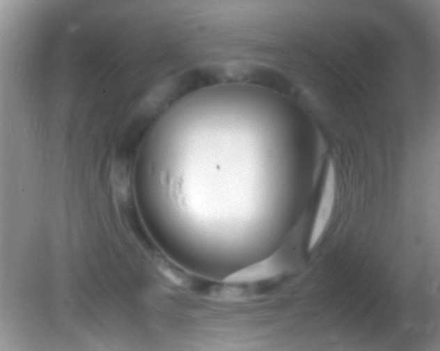 X0000082200129200701270128