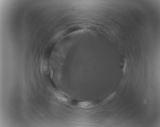 X0000082200139200701270128