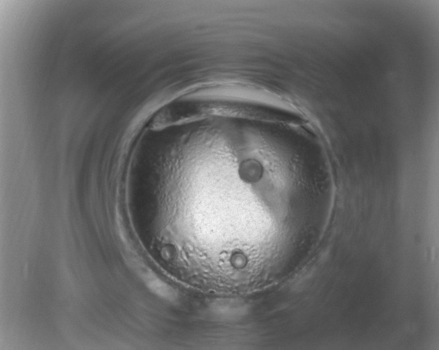 X0000082200145200701270127