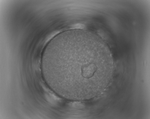 X0000082200146200701270127