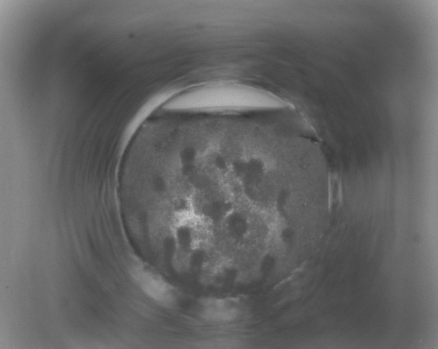 X0000082200147200701270127