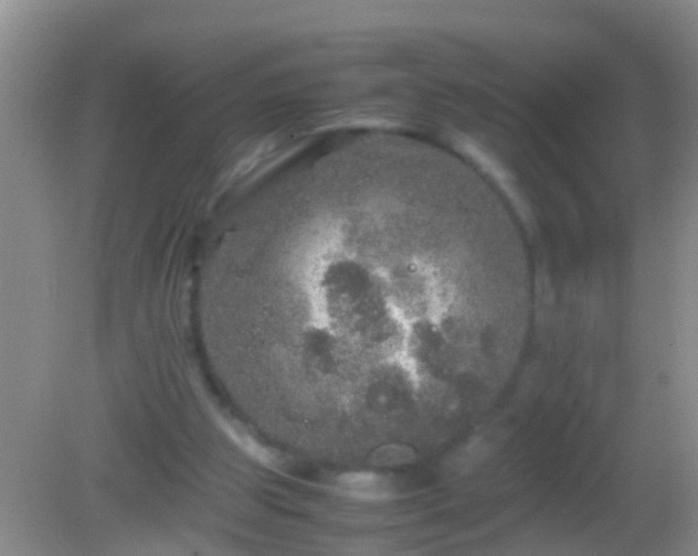 X0000082200153200701270127