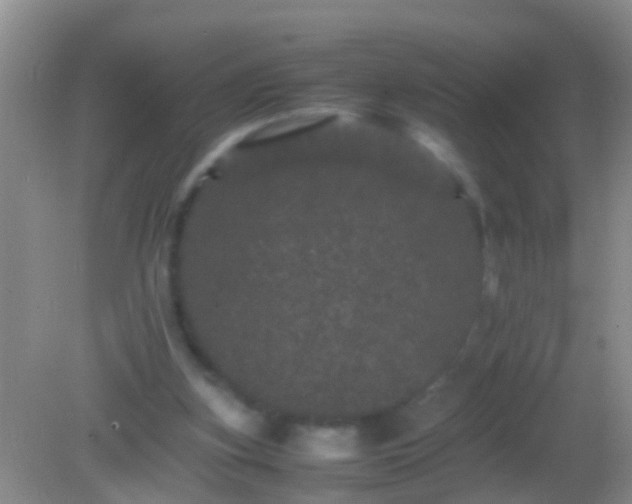 X0000082200155200701270127