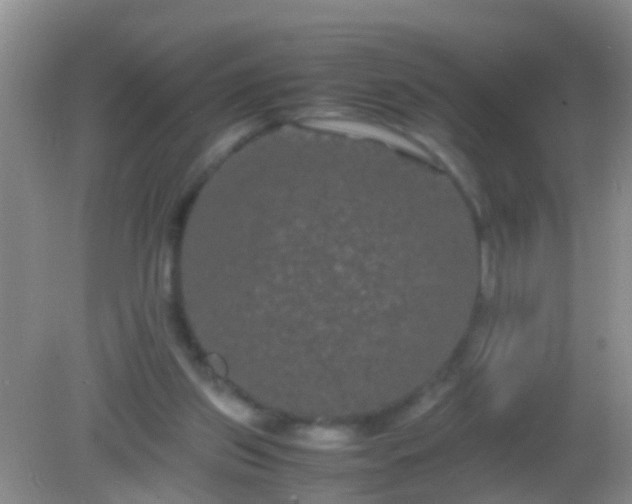 X0000082200157200701270127