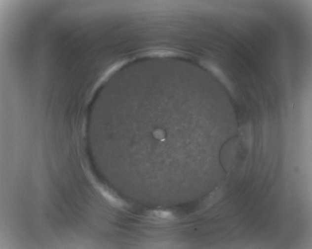 X0000082200159200701270127