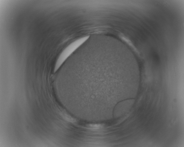 X0000082200161200701270127