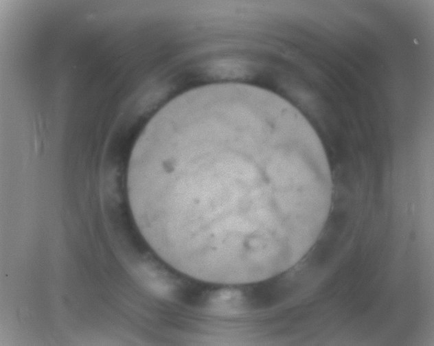 X0000082200162200701270127