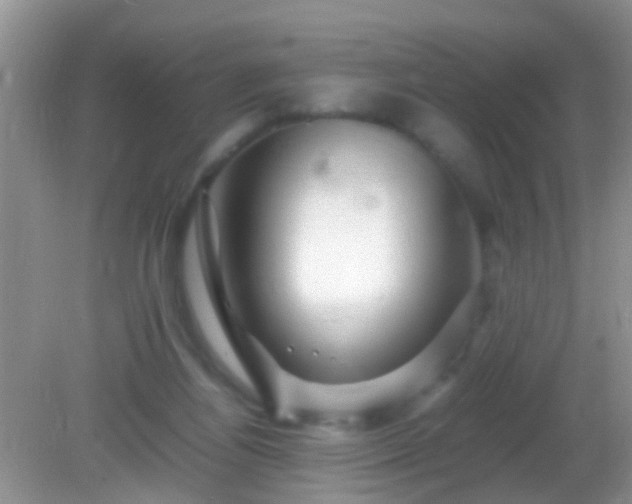 X0000082200164200701270127