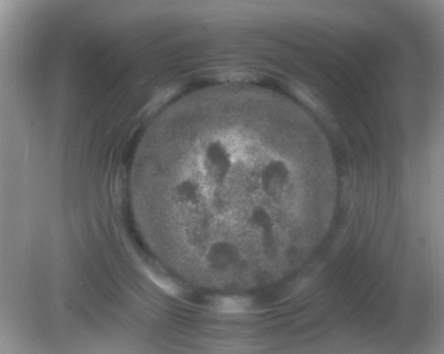 X0000082200165200701270127