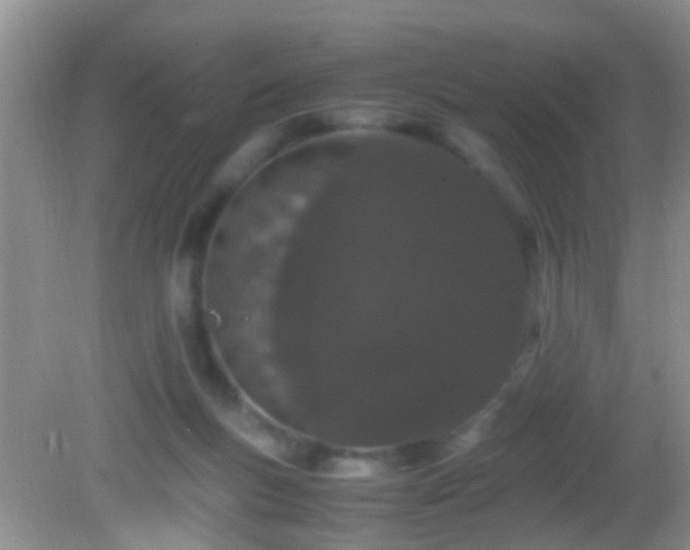 X0000082200167200701270127