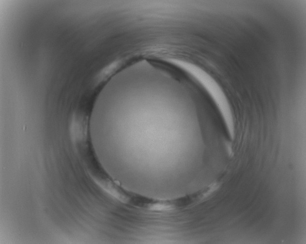 X0000082200168200701270127