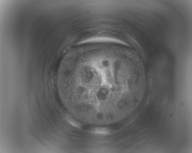 X0000082200169200701270127