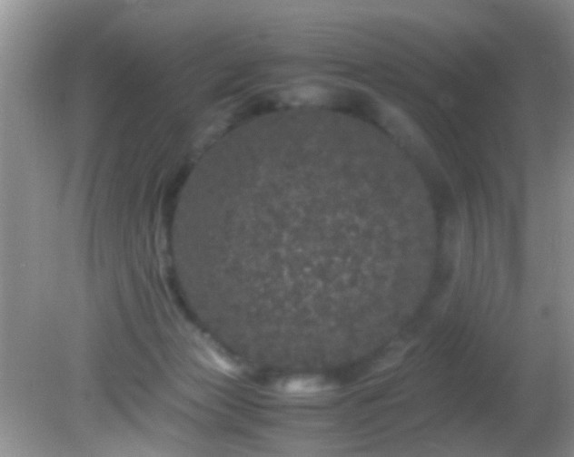 X0000082200173200701270127