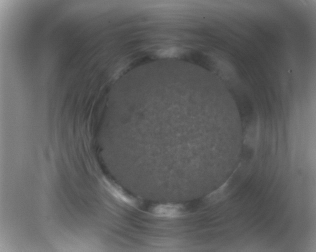 X0000082200179200701270127