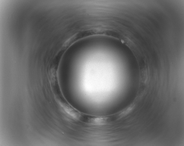 X0000082200184200701270127