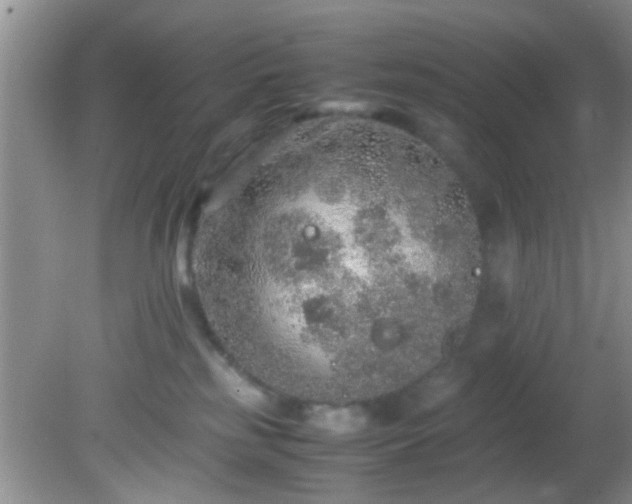 X0000082200185200701270128