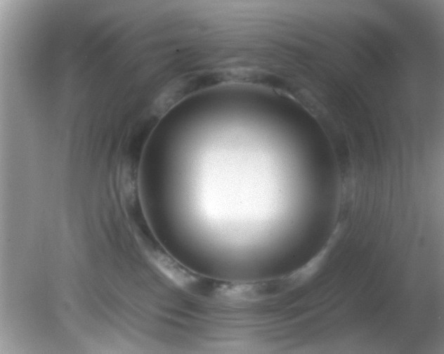 X0000082200186200701270128