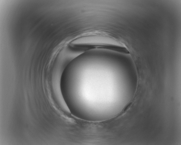 X0000082200193200701270127