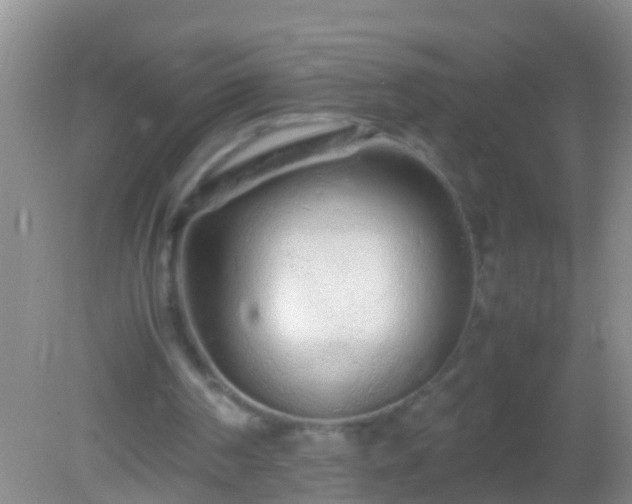 X0000082200194200701270127