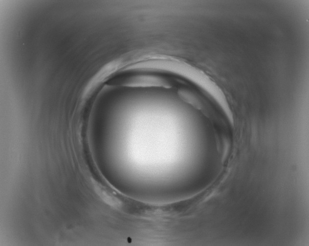 X0000082200197200701270127