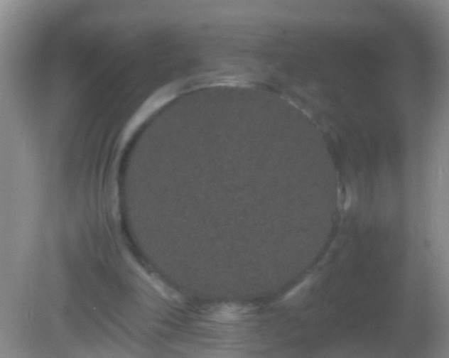 X0000082200198200701270127