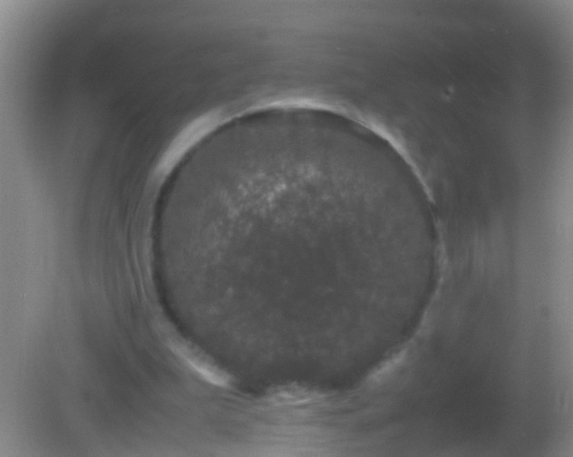 X0000082200199200701270127