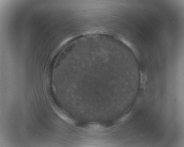 X0000082200203200701270127