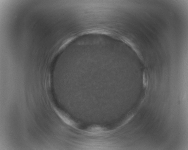 X0000082200205200701270127