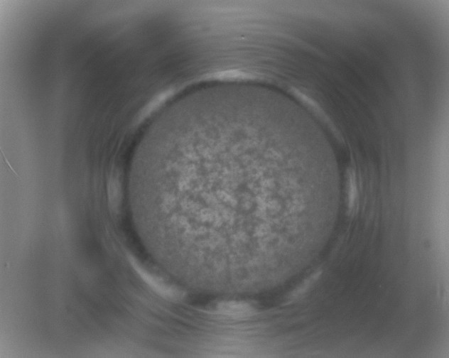 X0000082200208200701270127