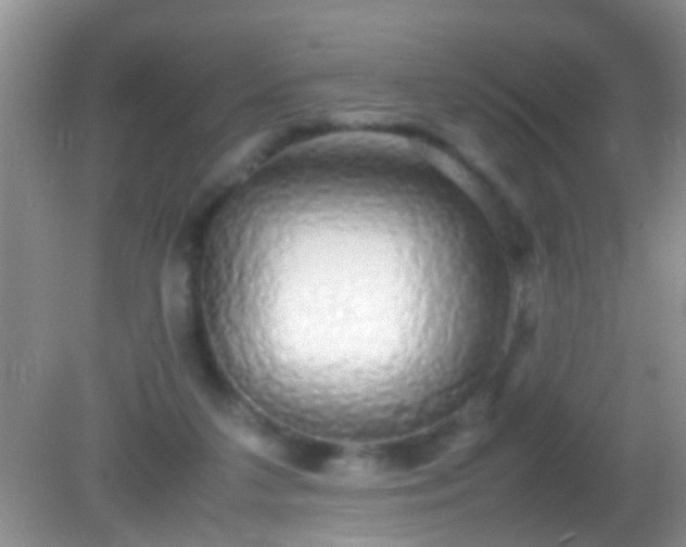 X0000082200211200701270127